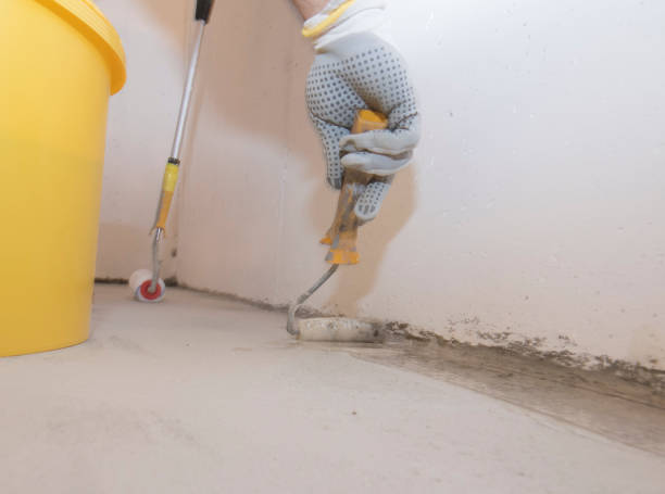 Best Bed Bug Extermination  in Eustis, FL